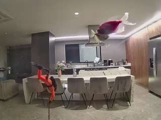 voyeurcam-casa-salsa-fishtank