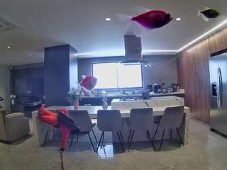 voyeurcam-casa-salsa-fishtank