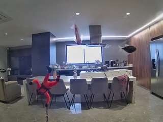 voyeurcam-casa-salsa-fishtank