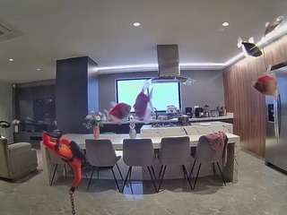 voyeurcam-casa-salsa-fishtank