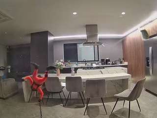 voyeurcam-casa-salsa-fishtank
