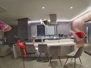 voyeurcam-casa-salsa-fishtank