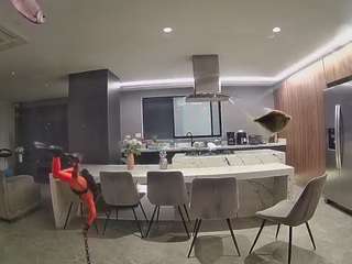 voyeurcam-casa-salsa-fishtank
