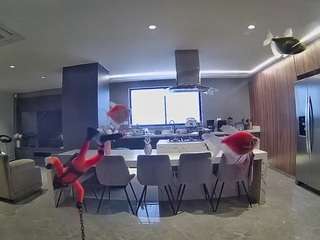 voyeurcam-casa-salsa-fishtank