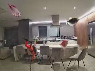 voyeurcam-casa-salsa-fishtank
