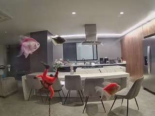 voyeurcam-casa-salsa-fishtank