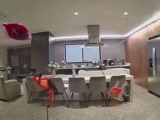 voyeurcam-casa-salsa-fishtank