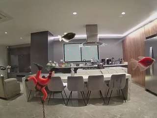 voyeurcam-casa-salsa-fishtank