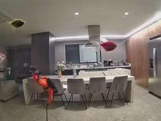 voyeurcam-casa-salsa-fishtank