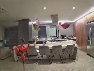 voyeurcam-casa-salsa-fishtank