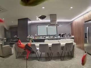 voyeurcam-casa-salsa-fishtank