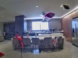 voyeurcam-casa-salsa-fishtank