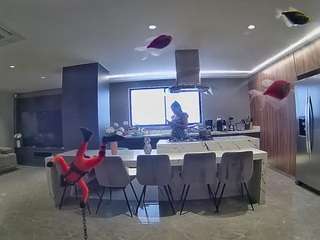 voyeurcam-casa-salsa-fishtank