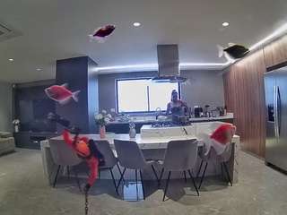 voyeurcam-casa-salsa-fishtank