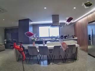 voyeurcam-casa-salsa-fishtank