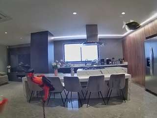 voyeurcam-casa-salsa-fishtank