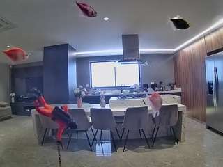 voyeurcam-casa-salsa-fishtank