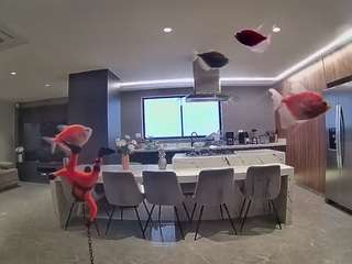voyeurcam-casa-salsa-fishtank