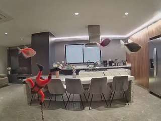 voyeurcam-casa-salsa-fishtank
