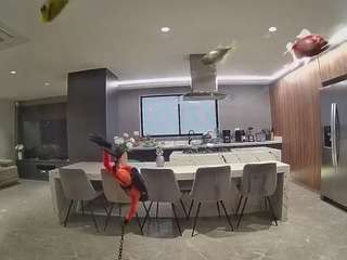 voyeurcam-casa-salsa-fishtank