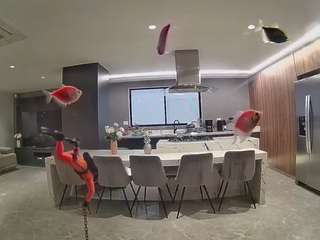 voyeurcam-casa-salsa-fishtank