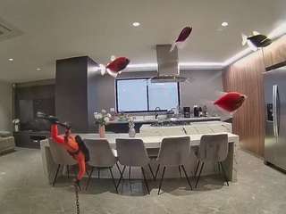 voyeurcam-casa-salsa-fishtank