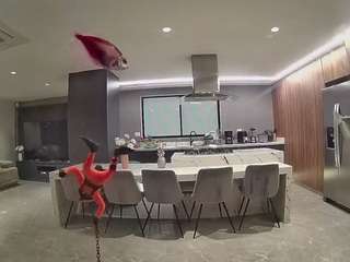 voyeurcam-casa-salsa-fishtank