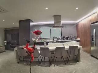 voyeurcam-casa-salsa-fishtank