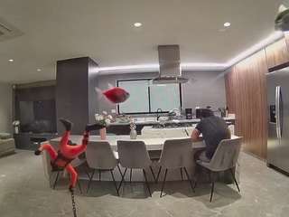 voyeurcam-casa-salsa-fishtank