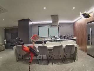 voyeurcam-casa-salsa-fishtank