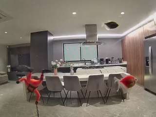 voyeurcam-casa-salsa-fishtank