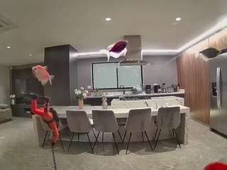 voyeurcam-casa-salsa-fishtank
