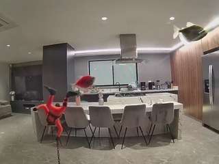 voyeurcam-casa-salsa-fishtank