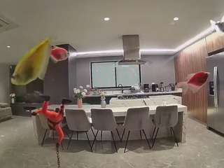 voyeurcam-casa-salsa-fishtank