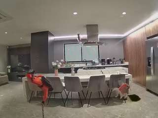 voyeurcam-casa-salsa-fishtank