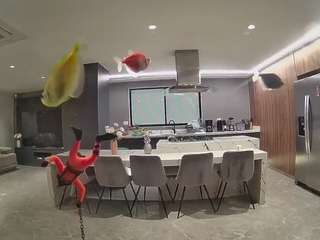voyeurcam-casa-salsa-fishtank