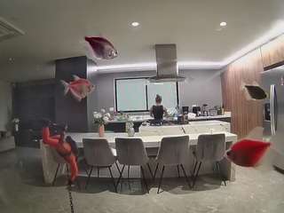 voyeurcam-casa-salsa-fishtank