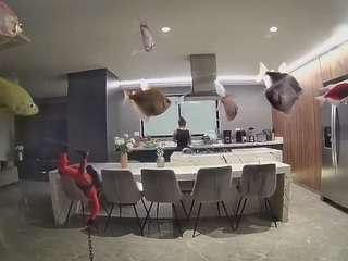 voyeurcam-casa-salsa-fishtank