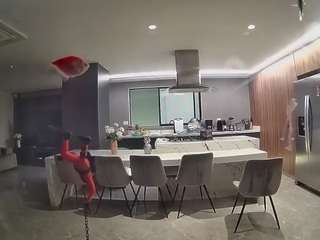 voyeurcam-casa-salsa-fishtank