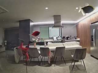 voyeurcam-casa-salsa-fishtank