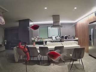 voyeurcam-casa-salsa-fishtank