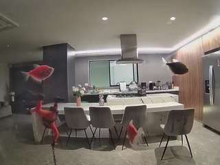 voyeurcam-casa-s... Live Webcam on CamSoda