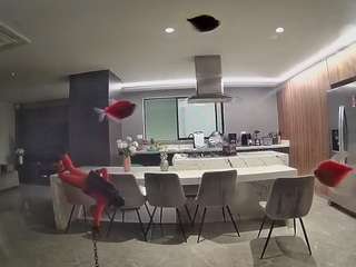 voyeurcam-casa-salsa-fishtank
