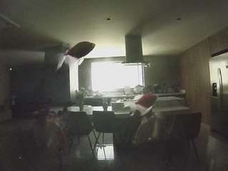 voyeurcam-casa-salsa-fishtank