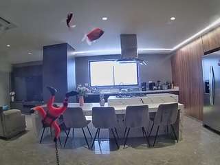 voyeurcam-casa-salsa-fishtank