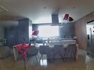 voyeurcam-casa-salsa-fishtank