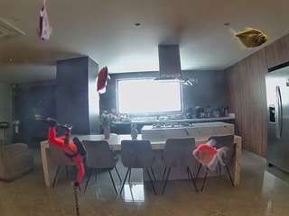 voyeurcam-casa-salsa-fishtank