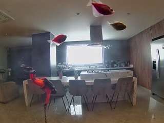 voyeurcam-casa-salsa-fishtank