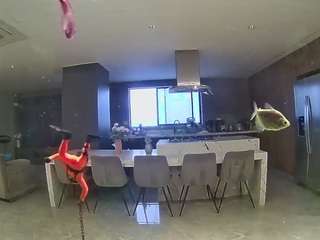 voyeurcam-casa-salsa-fishtank