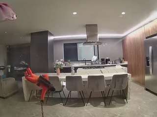 voyeurcam-casa-salsa-fishtank